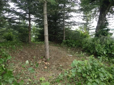 The cache pit was discoverd on a hill overlooking the Knik Arm, a thin brach of the Gulf of Alaska.