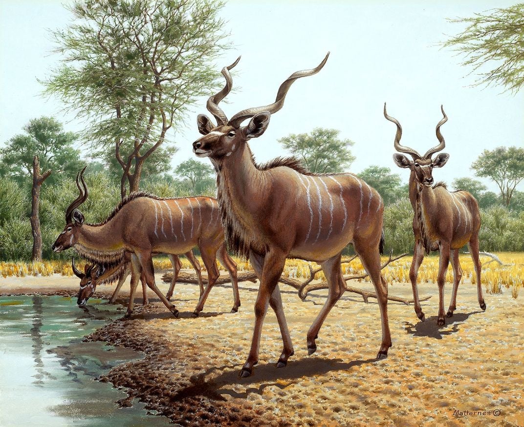 Kudus