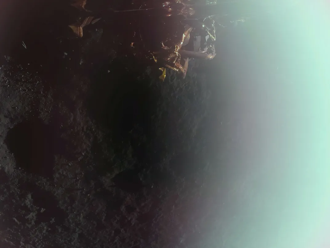 The moon's surface