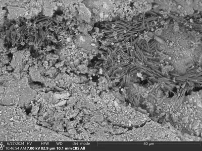 A scanning electron microscope image shows sodium carbonates in a sample from the asteroid Bennu. Each needle is less than one micrometer wide by five to ten micrometers in length&mdash;for comparison, a human hair is about 100 micrometers wide.