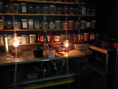 Wooden shelves and counter filled with jars are lit by two oil lamps.