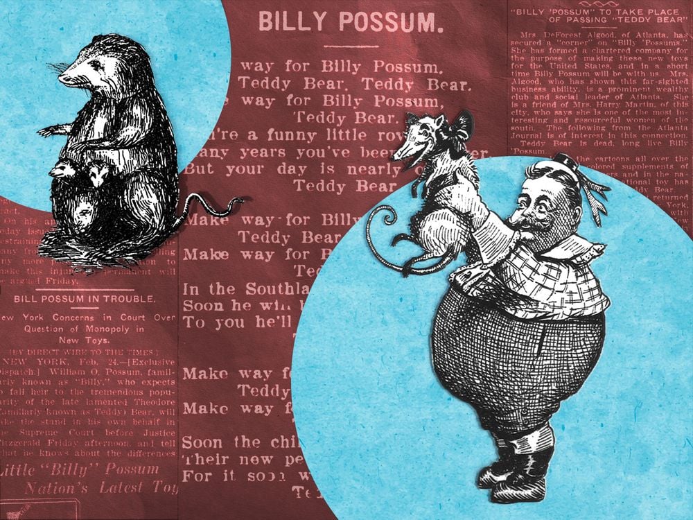 An illustration of William Howard Taft holding up Billy Possum