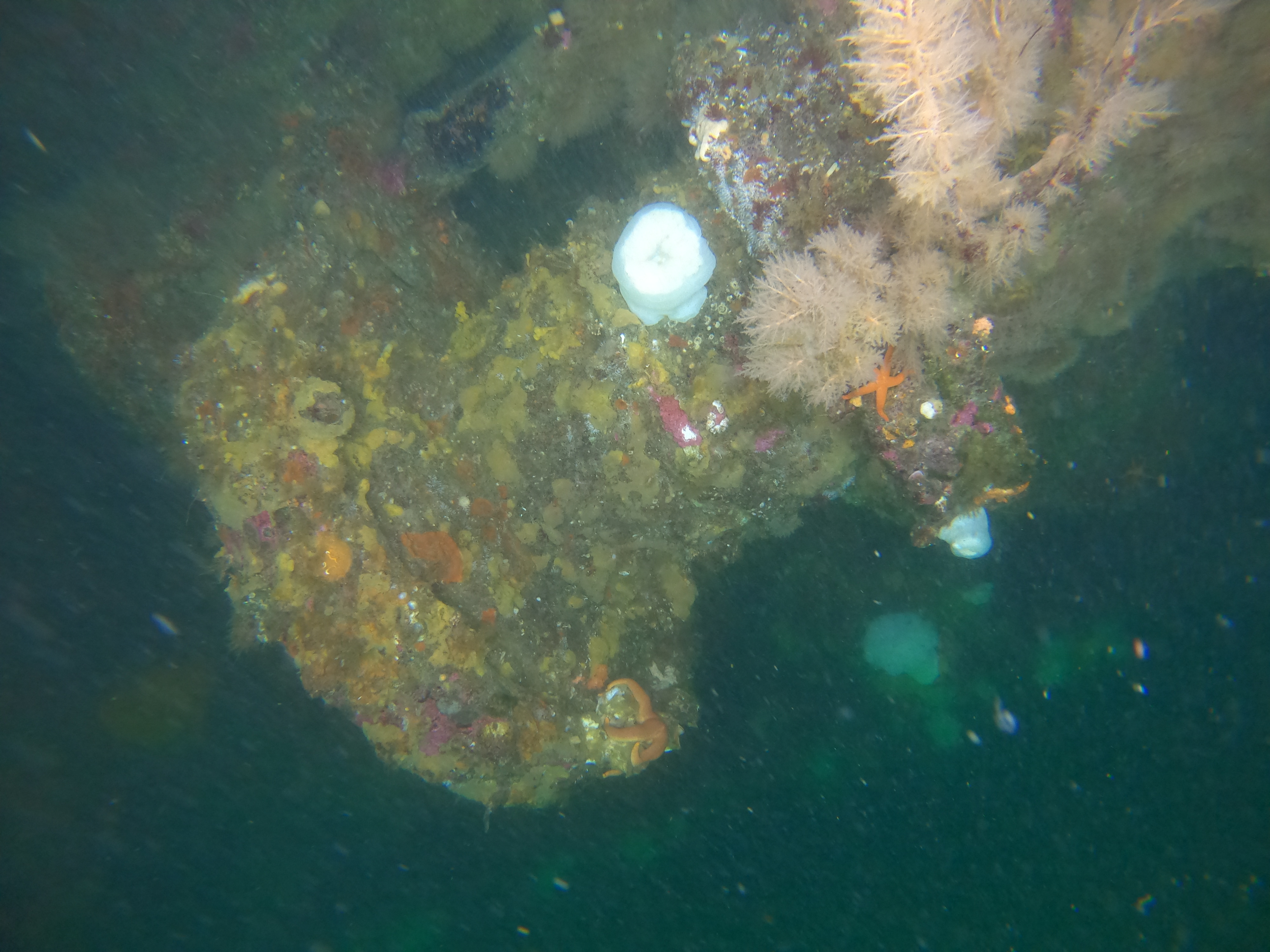 <p>Video footage captured by a remotely operated underwater vehicle shows the cable winch of the S.S. <em>Dellwood</em>, a 3,500-ton U.S. Army vessel that had been installing communication lines when it collided with a submerged rock pinnacle.</p>
