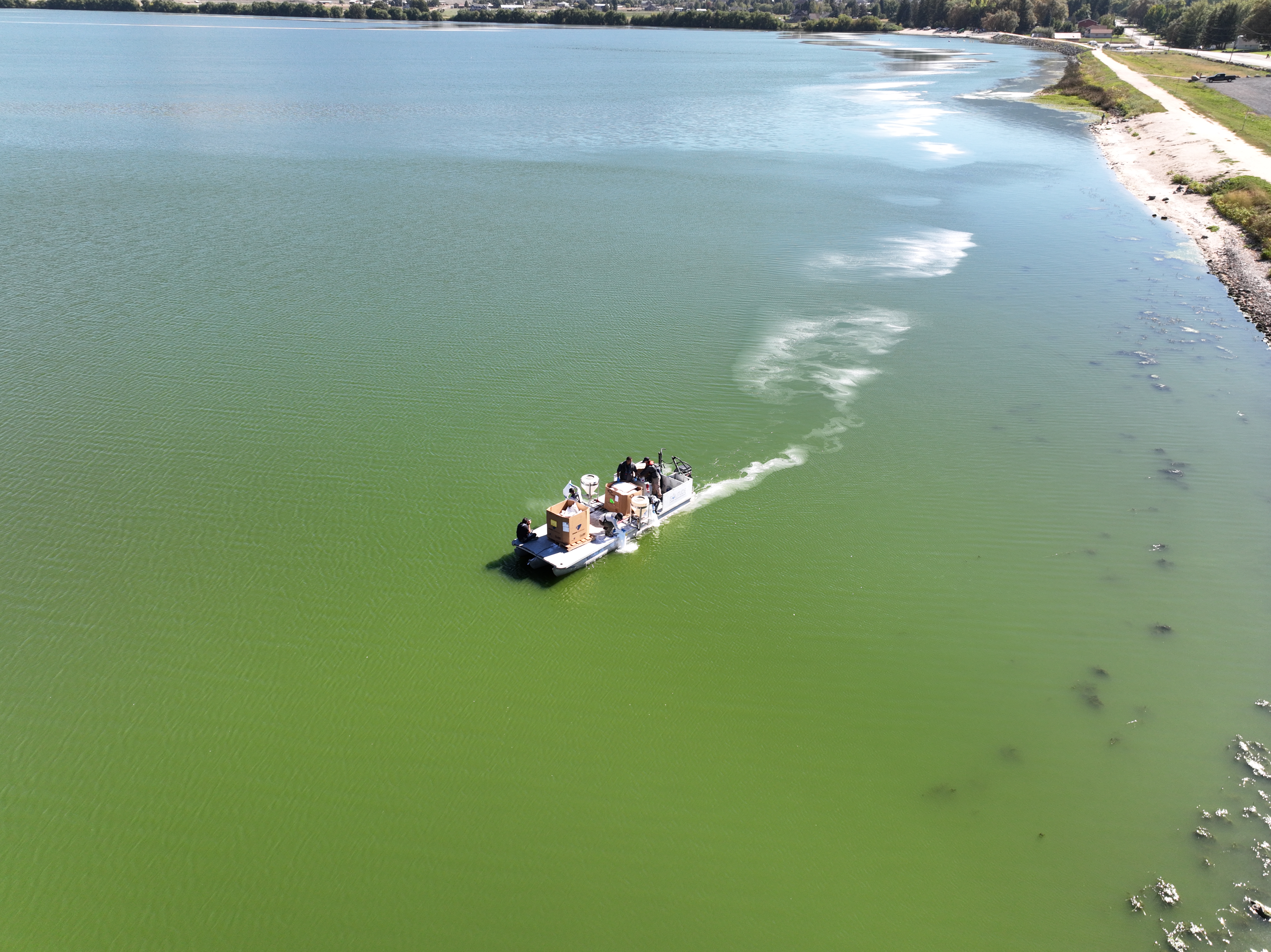 BlueGreen Water Technologies treats a harmful algal bloom in Doctors Lake in Clay County, Florida.