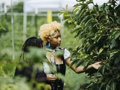 Two young people surrounded by greenery. One person has their hand outstretched towards a leafy bush in front of them.
