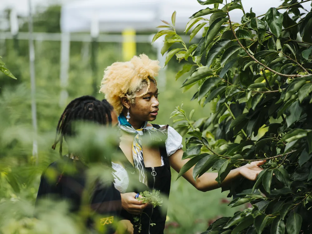 Two young people surrounded by greenery. One person has their hand outstretched towards a leafy bush in front of them.