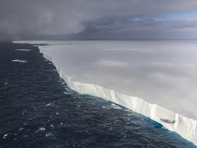 The iceberg A23a, seen in the South Atlantic Ocean near South Georgia and the South Sandwich Islands in November 2024