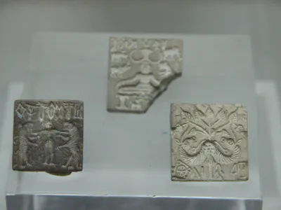 Seals with the signs and symbols of the Indus Valley civilization are waiting to be deciphered.