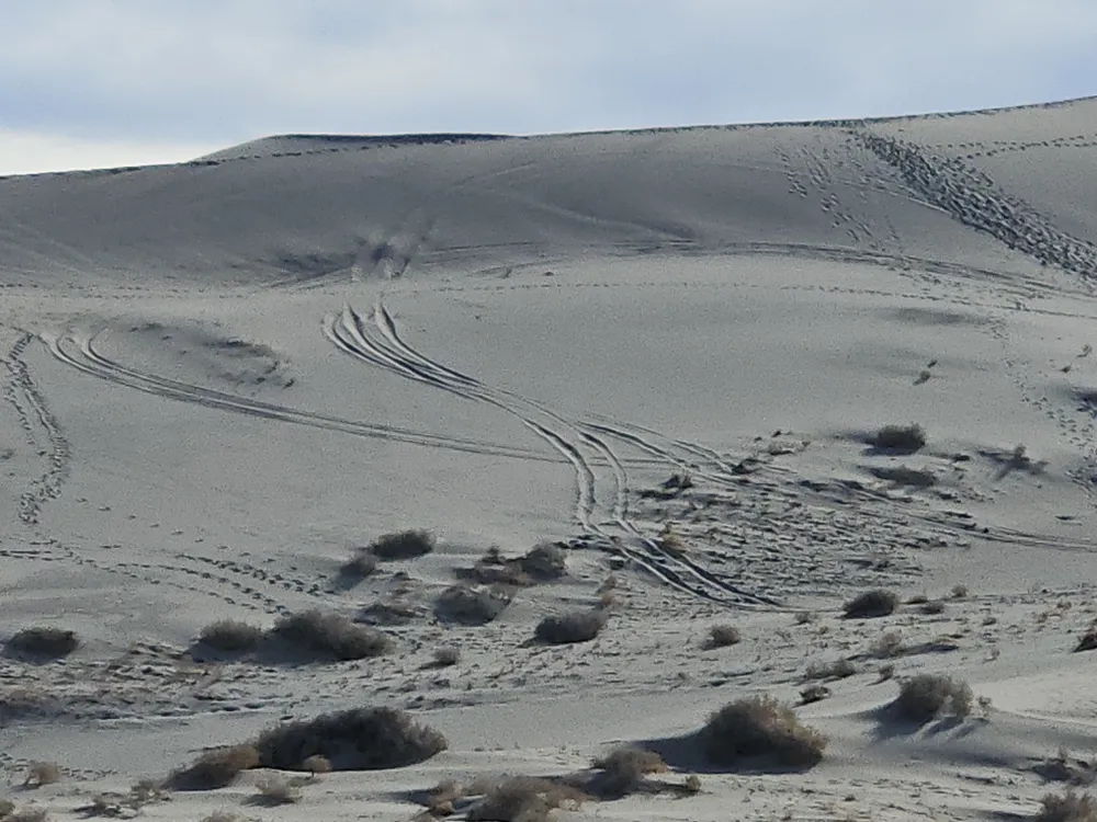 Vehicle tracks covering sand dunes