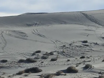 The tire tracks, which cover more than two miles, were discovered in late December.