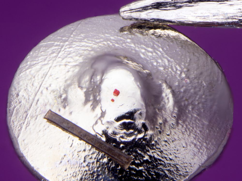 miniature sculpture