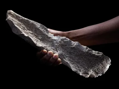 A bone tool shaped on a 1.5-million-year-old elephant humerus