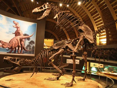 Mating Tyrannosaurus Rex