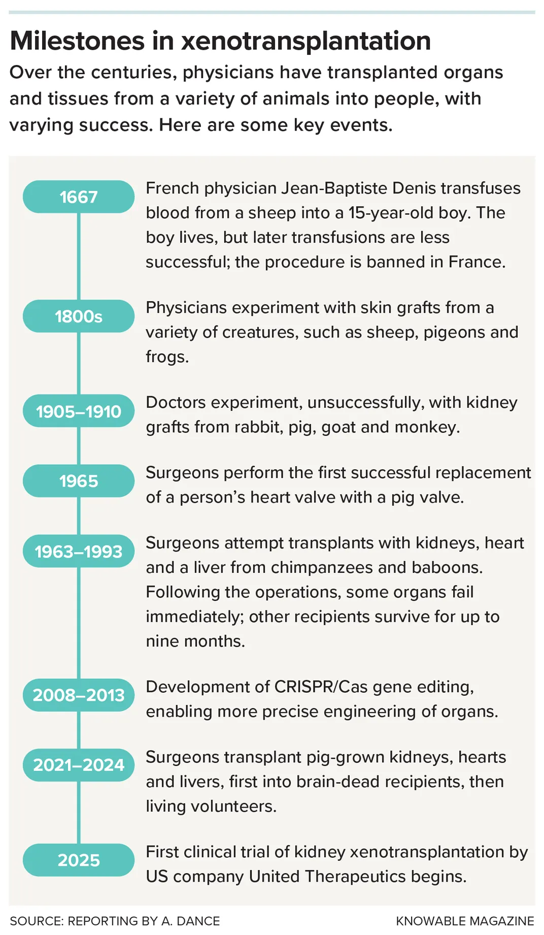 The Future of Transplanting Pig Organs in People