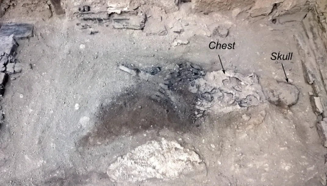 Annotated image of the remains of the deceased individual.