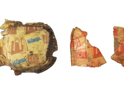 In one nest, researchers found a McDonald&#39;s McChicken container from 1996.