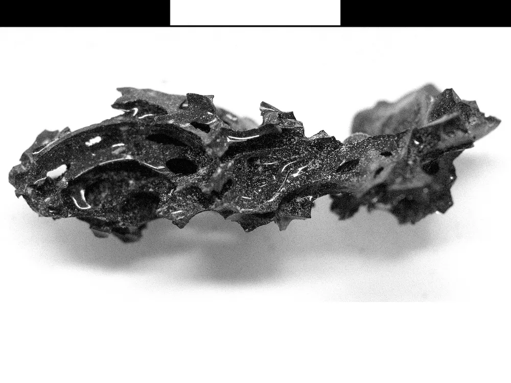 A fragment of the glass found within the remains of the college custodian.